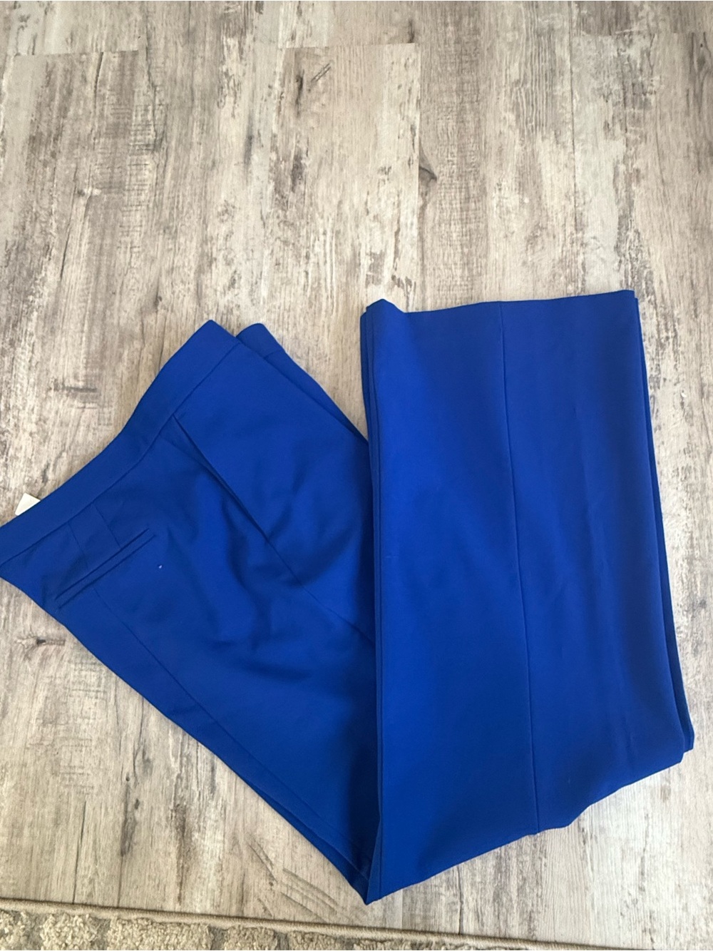 Zara Wide Leg Pants in Royal Blue